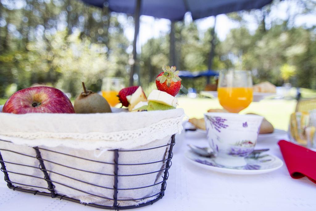 Neike Boutique Hotel Maldonado Bagian luar foto