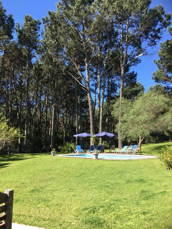 Neike Boutique Hotel Maldonado Bagian luar foto